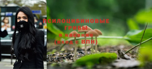 трава Магас