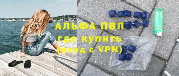 трава Магас