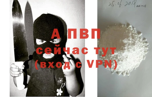 трава Магас