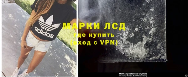 трава Магас