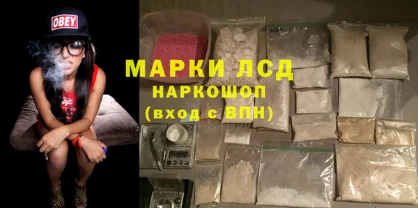 трава Магас