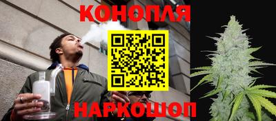 прущие грибы Бийск