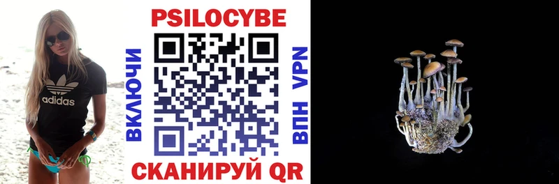 Галлюциногенные грибы Psilocybe  Уварово 