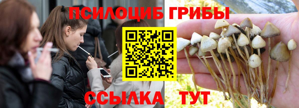 Псилоцибиновые грибы Psilocybine cubensis  Вход с VPN  где найти наркотики  Уварово 